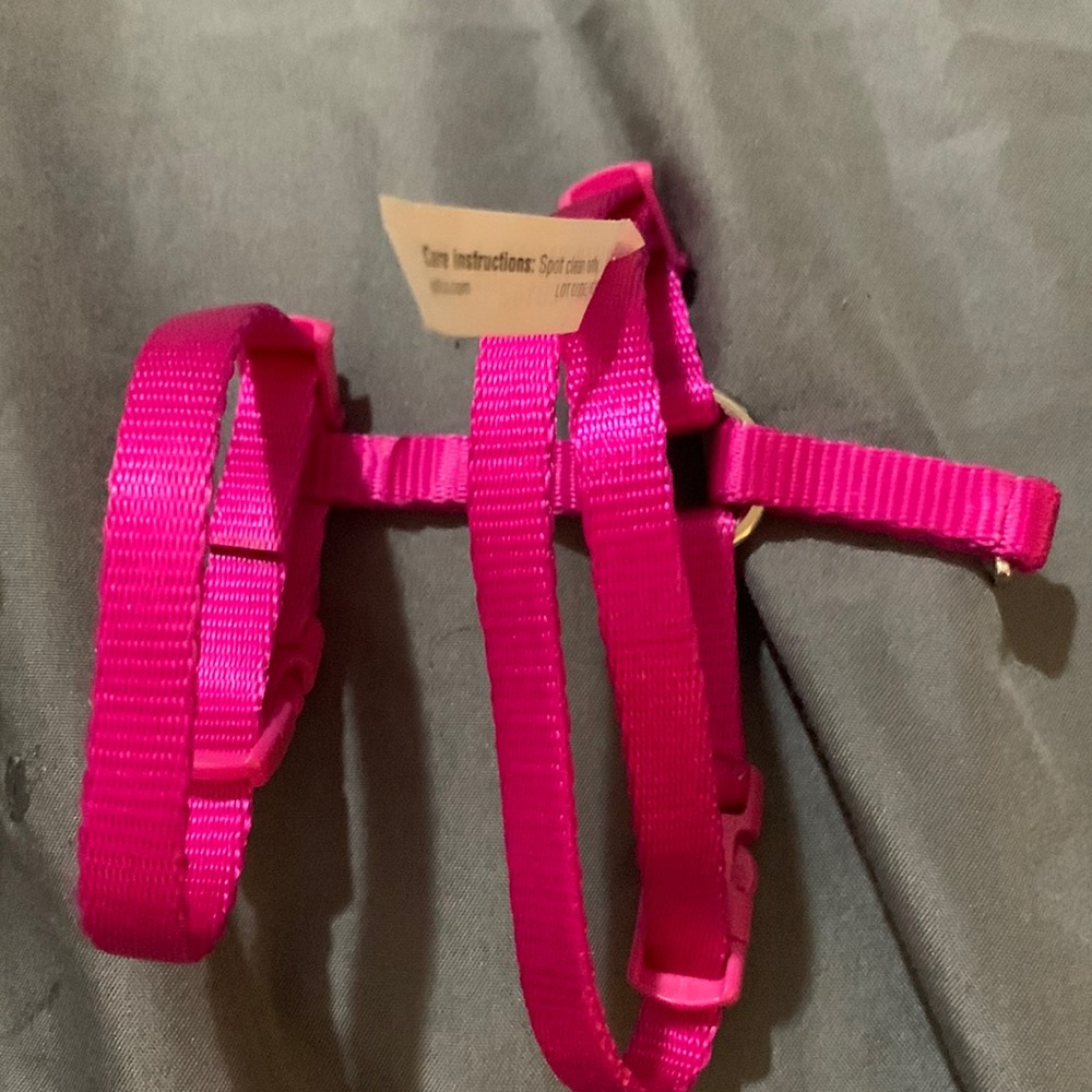 Pink cat leash